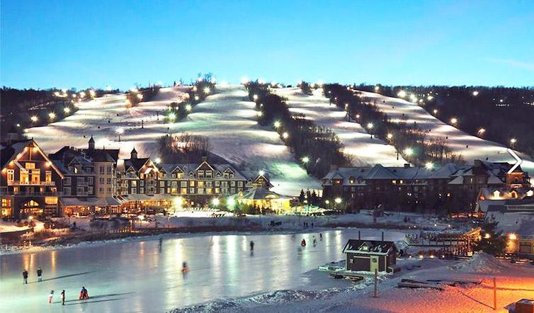 Condo Loft At Blue Mountain Блу-Маунтинс Экстерьер фото